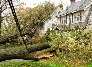 Utilities and Power Outages